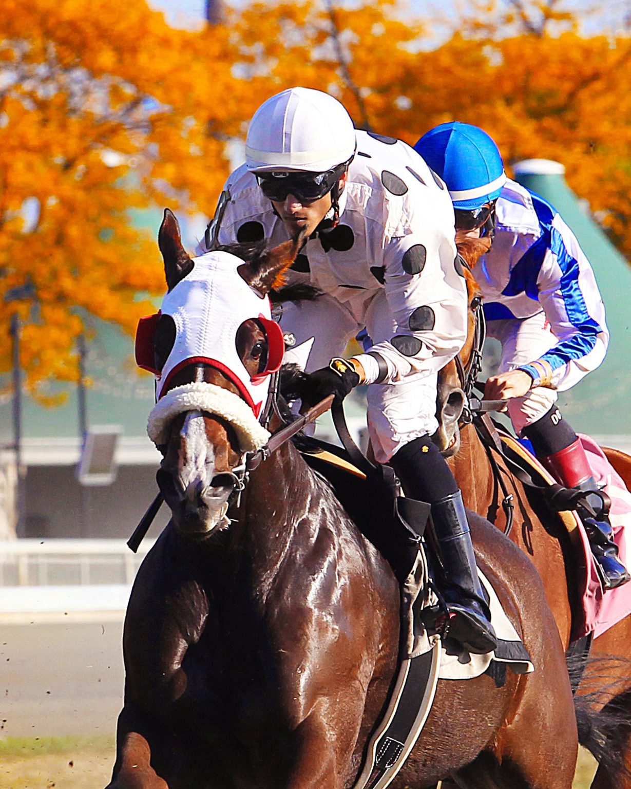 Free Live Racing Program Fridays Meadowlands Racing & Entertainment