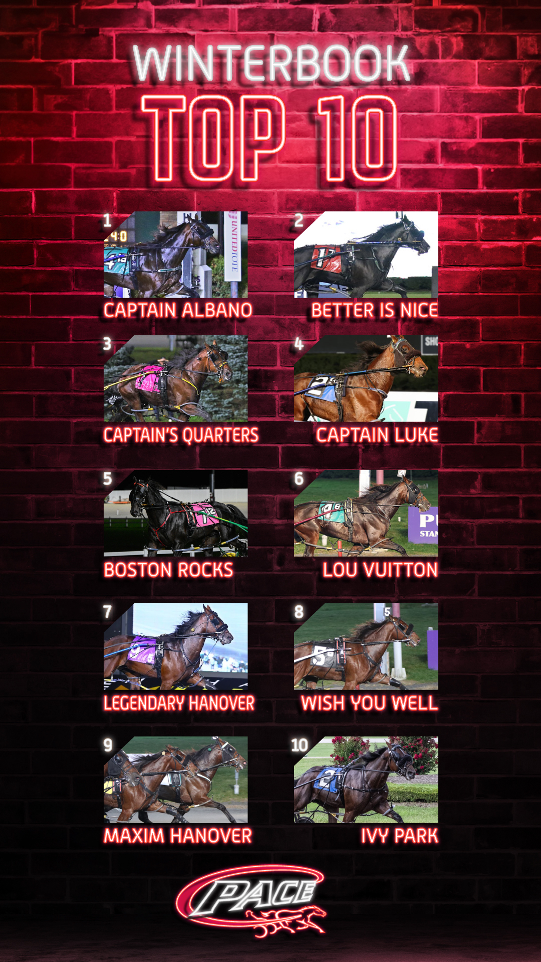 DAVE LITTLE’S MEADOWLANDS PACE WINTERBOOK TOP 10 Meadowlands Racing