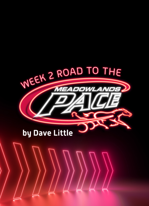 Dave Little's Road to the Meadowlands Pace Week 2 May 9, 2024