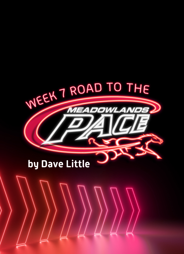 New Top 3 in Dave Little's 2024 Road to the Meadowlands Pace Week 7